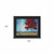Homeroots Home Decor Red Tree 2 Black Framed Print Wall Art, Red and Black, 15 x 19 Inches