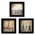 Homeroots Home Decor Set Of Three Wash 2 Black Framed Print Bathroom Wall Art, Black, 15 x 15 Inches