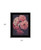 Dreamy Rose 2 Black Framed Print Wall Art - 606114056348