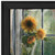 Morning Flower 2 Black Framed Print Wall Art - 606114060352