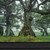 Enchanted Forest I 3 Black Framed Print Wall Art