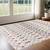 3' X 5' Cream Ikat Area Rug