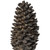 Petite Brown Resin Pinecone Shaped Decor Piece - 808230026001