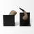 Set of Two Brown And Black Resin And Metal Horn Decorative Bookends