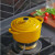 RJ Legend 1.4 Liter Mustard Yellow Cast Iron Pot, Enameled Pot with Handles - 000001695027