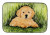Golden Retriever Dish Drying Mat - 652259256853