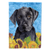 Dog in Summer Flowers Flag Garden Size - 705332047203