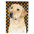 Candy Corn Halloween Dog Portrait Flag Garden Size - 705332062213