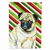 Candy Cane Holiday Christmas Dog Flag Garden Size - 705332071369