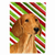 Candy Cane Holiday Christmas Dog Flag Garden Size - 705332068642