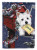 Christmas Dog Art Flag - 194030369210