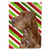 Candy Cane Holiday Christmas Dog Flag Garden Size - 705332069021