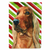 Candy Cane Holiday Christmas Dog Flag Garden Size - 615872864072