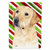 Candy Cane Holiday Christmas Dog Flag Garden Size - 705332067362