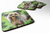 St Patrick's Design with Dog Foam Coaster Set of 4 - 652259212651