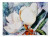 Flower Fabric Placemat - 638508075284