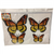Monarch Butterfly Hair Clips and Magnets in Peggable Bag - 667741123070