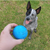 SP Wag Ball Ultra Durable Synthetic Rubber Chew Toy & Floating Retrieving Toy - 810216025243