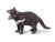 Tasmanian Devil Figurine - 095866003630
