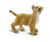 Lion Cub Figurine - 095866004507