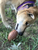 MKB Football Durable Rubber Chew Toy and Treat Dispenser - 810216023492
