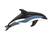 Atlantic White Sided Dolphin Figurine - 095866004354