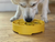 Honeycomb Design eBowl Enrichment Slow Feeder Bowl for Dogs - 810216026325