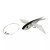 Flying Fish - 749995322338