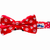 Cutie Ties Fun Design Dog Collar - 697273994756