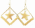 Cradled Star Earrings - 005372648270