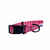 Cutie Ties Fun Design Dog Collar - 697560065725