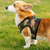 Mr. Peanut's PupTrek Small Dog/Cat Soft Mesh Step In Harness Vest - 850032553551