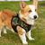 Mr. Peanut's PupTrek Small Dog/Cat Soft Mesh Step In Harness Vest - 850032553551