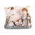Nativity Holy Family On Scroll City 3.5H - 603799667036
