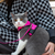 Mr. Peanut's PurrTrek Reflective Cat Harness with Matching Leash - 850032553674