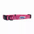Cutie Ties Fun Design Dog Collar - 697560065718
