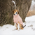 GF Pet Chalet Dog Sweater - 824348737301