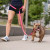 GF Pet Reflective Leash - EEZY-6 - 824348855340