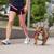 GF Pet Reflective Leash - EEZY-6 - 824348855340