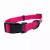 Cutie Ties Fun Design Dog Collar - 697560065602