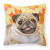 Dog With Fall Design Fabric Decorative Pillow - 652259224555