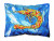 Sealife Painting Print Canvas Fabric Decorative Pillow - 638508238382