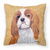Carolines Treasures Wipe Your Paws Dog Art Fabric Decorative Pillow, 14x14 Inches, Polyester, playful cute
