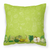 Fruits and Vegetable Fabric Decorative Pillow - 638508623812