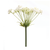 Queen Anne's Lace Stem - 746427885348