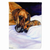Dog Breed Themed Art Flag Canvas - 705332074698