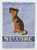 Persian Chihuahua Welcome Flag Canvas House Size - 194030051047