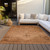 9' X 12' Copper Orange And Brown Oriental Washable Indoor Outdoor Area Rug