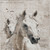 8' X 10' Ivory And Gray Horse Washable Indoor Outdoor Area Rug