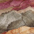 8' X 10' Khaki And Blush Floral Washable Indoor Outdoor Area Rug